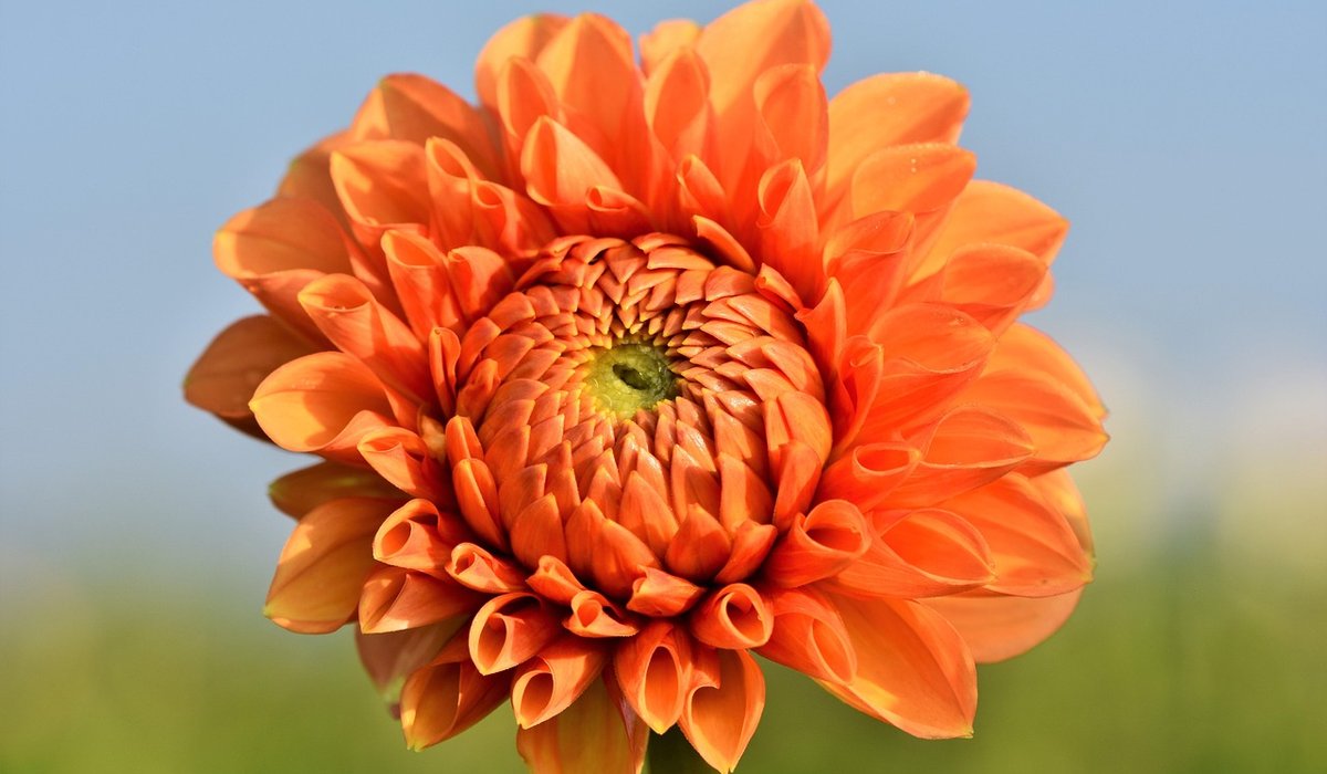 Preparing Your Pub Garden for Spring Visitors